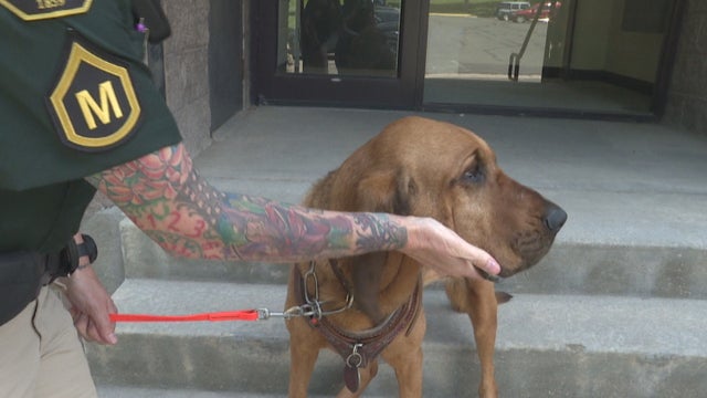 JEFFCO DEPUTY HELPS FIND MISSING KID 5PKG_frame_578 