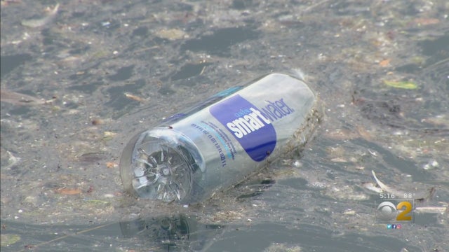 plastic-free-july.jpg 