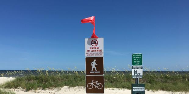 mississippi-beaches-closed-toxic-algae.jpg 