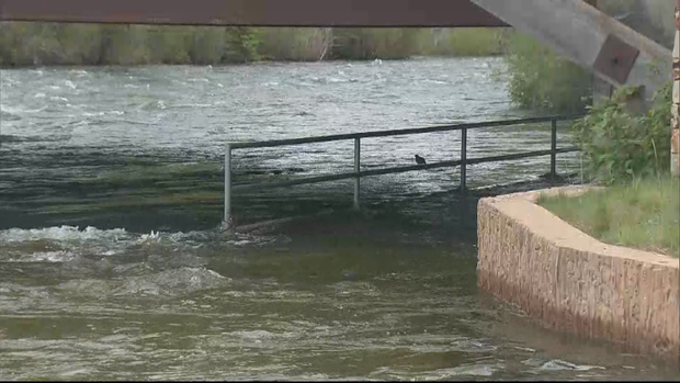 DILLON RES FULL 6PKG.transfer_frame_1375 