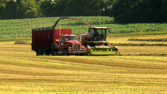 alfalfa-hay-farmers-farming.jpg 
