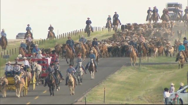 CFD CATTLE ROUNDUP 5PKG_frame_835 