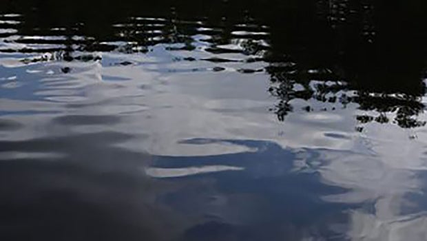 North Dakota Man Dies in Apparent Drowning on Minnesota Cass Lake