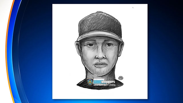 bronx-forcible-touching-pattern-sketch-nypd.jpg 