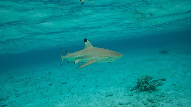 GettyImages-500339800.jpg 