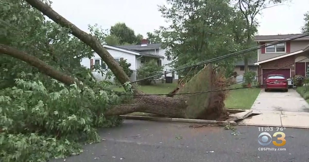 Powerful Storms, Winds Knock Out Power For Thousands, Topple Trees ...