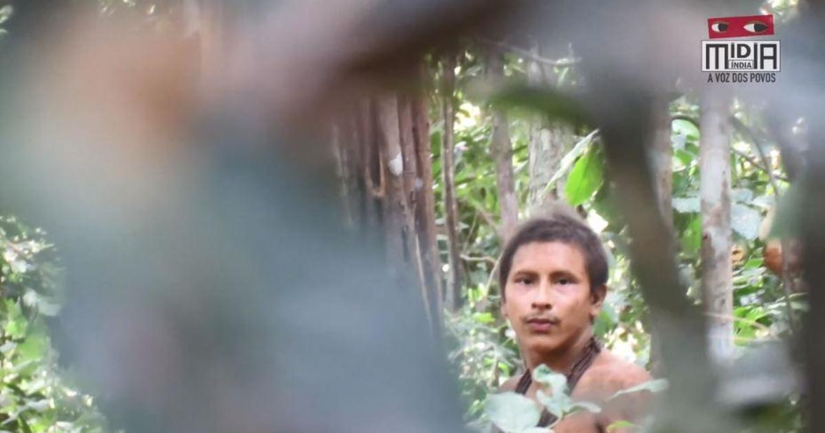 Amazon Rainforest Rare Footage Shows Awa Tribe Threatened By Loggers In Brazil Cbs News
