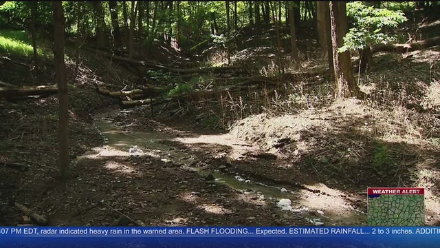 CleanUpCreeks.jpg 