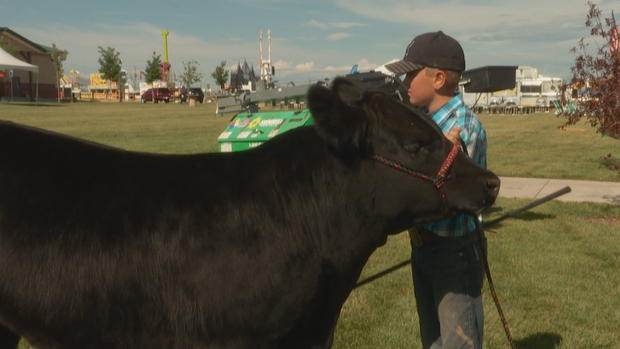 ARAPAHOE FAIR 1 