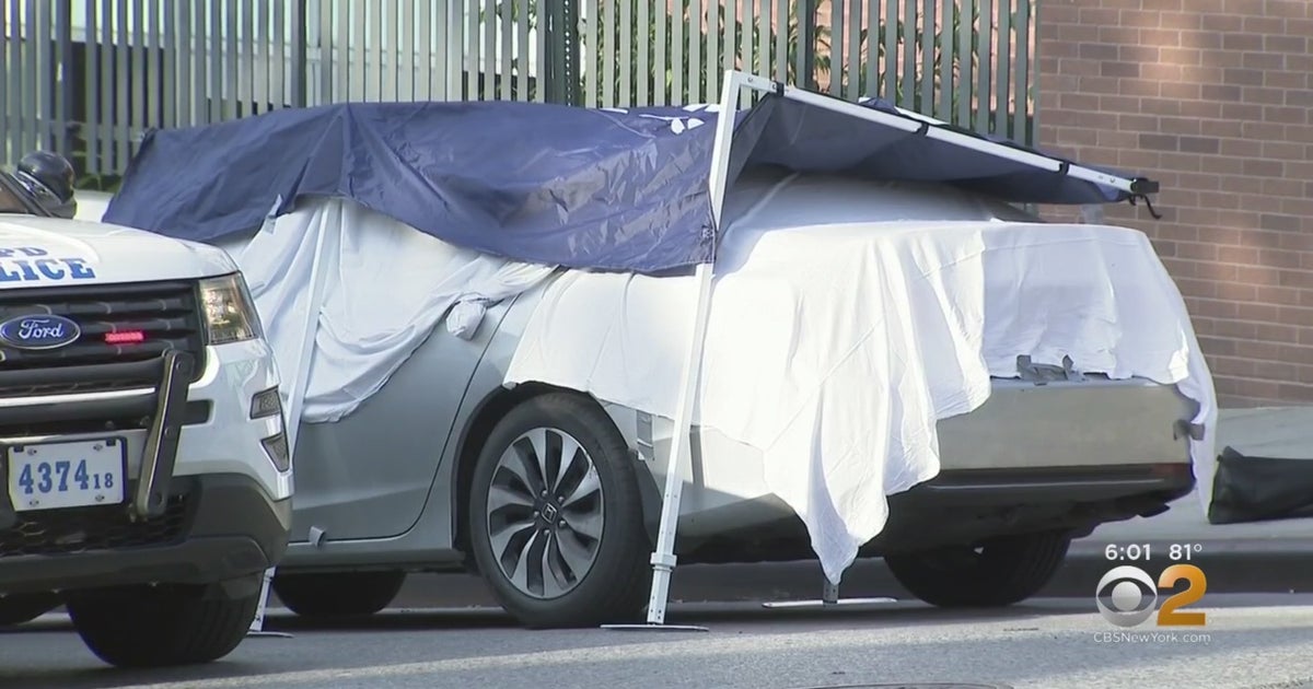 How Could It Have Happened? Experts Discuss Death Of Twins Left In Hot