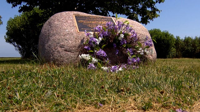 1919_Chicago_Race_Riots_Memorial.jpg 