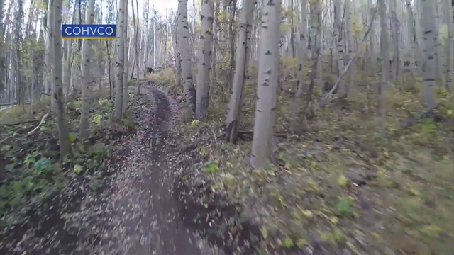 TRAIL WIRES 6PKG.transfer_frame_1871 