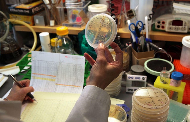 Three American Scientists Share Nobel Prize In Medicine