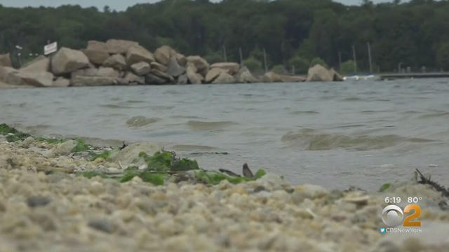 long-island-beach.jpg 