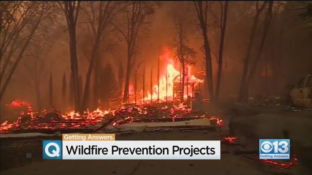 WILDFIRE-PREVENTION.jpg 