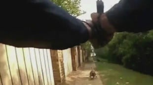 dog-bodycam.jpg 
