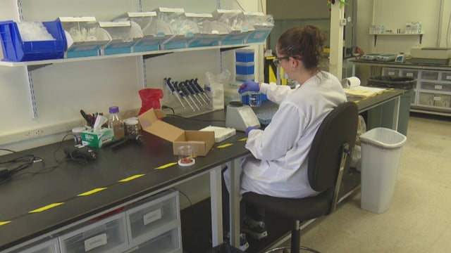 CBI DUI TESTS MESS 6PKG_frame_1588 