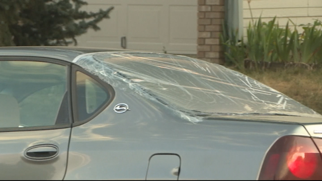 FORT COLLINS WINDOWS SURVEILLANCE 