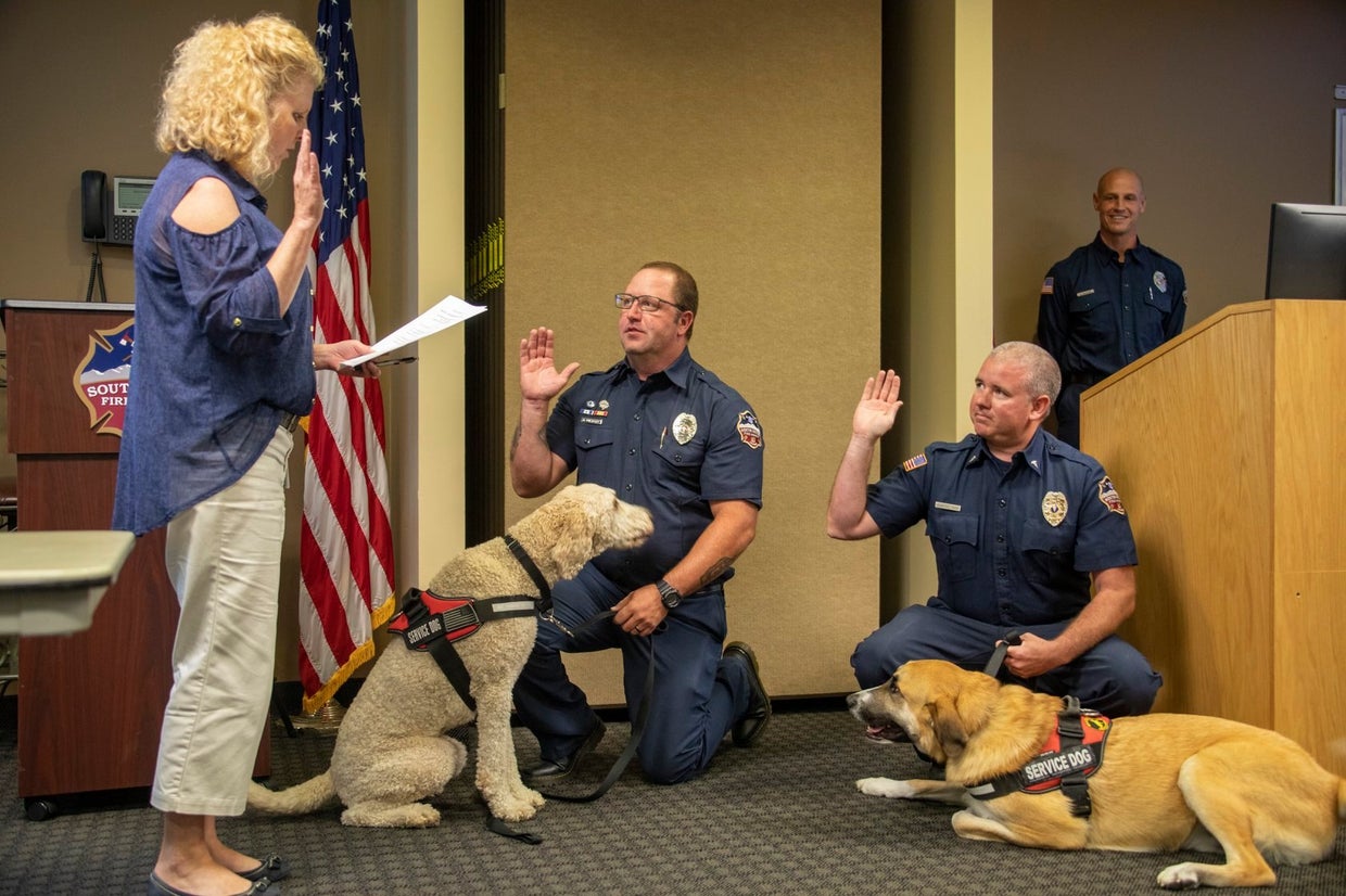 Two Dogs Sworn In As South Metro Fire Emergency Responder Service Dogs ...