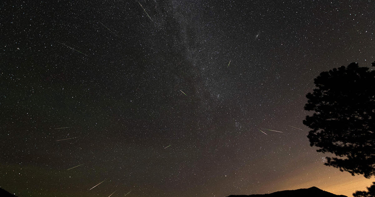 Perseid Meteor Shower New York Keeping State Parks Open Late To Watch