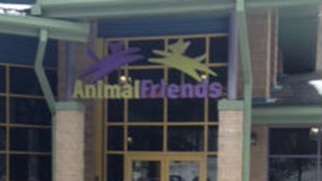 animalfriends.jpg 