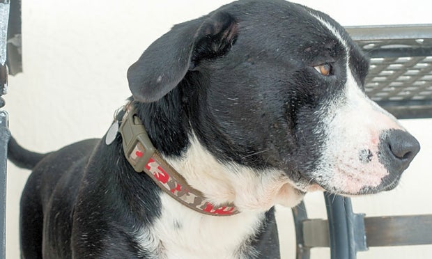 Kiefer  (Hoodline Do Not Use) 