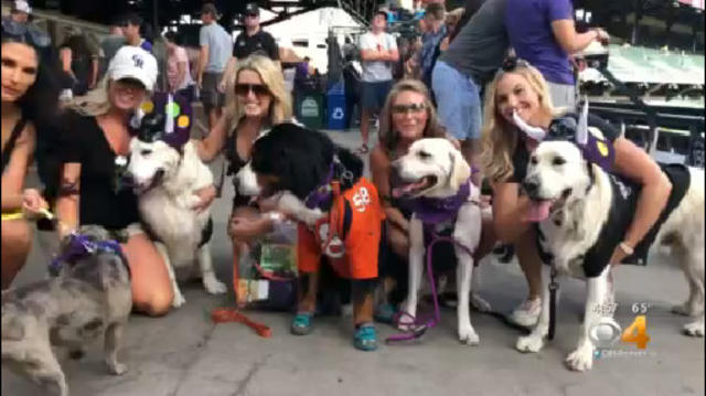 Rockies Fans Bring Furry Friends For Annual 'Bark At The Park