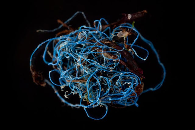 Plastic Debris From The Erme Estuary 