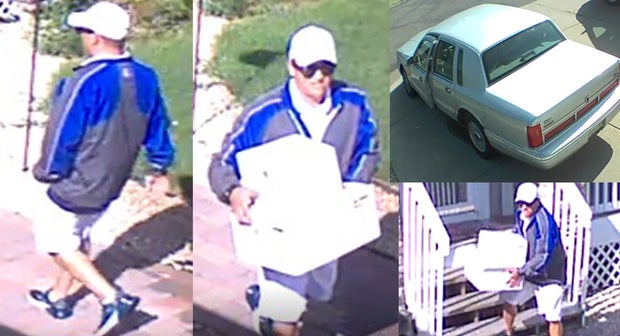 Package Thief Livonia Township 