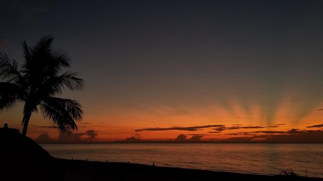 Fort-Lauderdale-Bart-Cuseo.jpg 