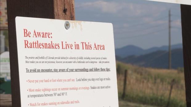 zorro trail rattlesnake warning sign 