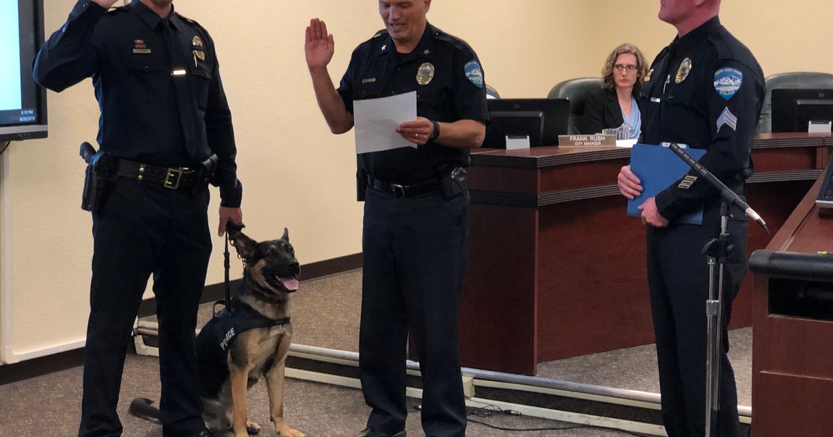 Meet K9 Rocky, South Lake Tahoe PD's Latest K9 CBS Sacramento
