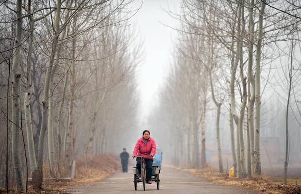 A farmer rides along a country road in D 
