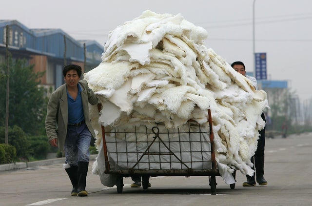 People Work At Longfeng Leather And Fur Factory 