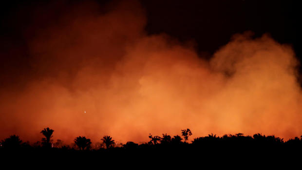 Pictures from the Amazon rainforest fires 