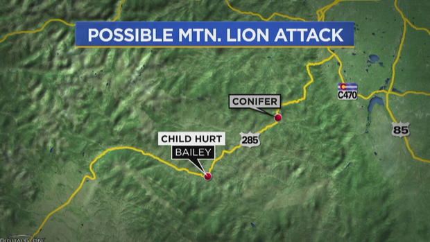 MOUNTAIN LION ATTACK 10MAP_frame_899 