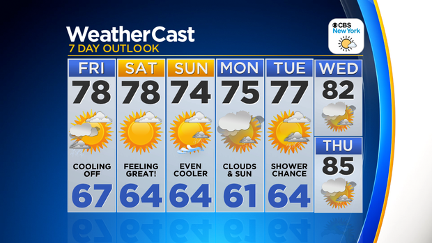 Nu_Tu_7Day_Auto_Logo