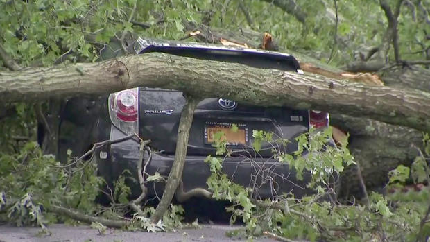 Long Island Storm Damage 