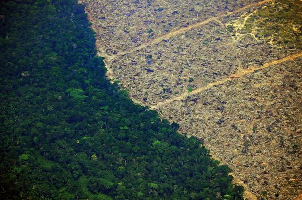 BRAZIL-AMAZON-DEFORESTATION 