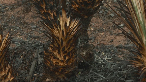 DEER CREEK CANYON PARK FOLO 10PKG_frame_0 