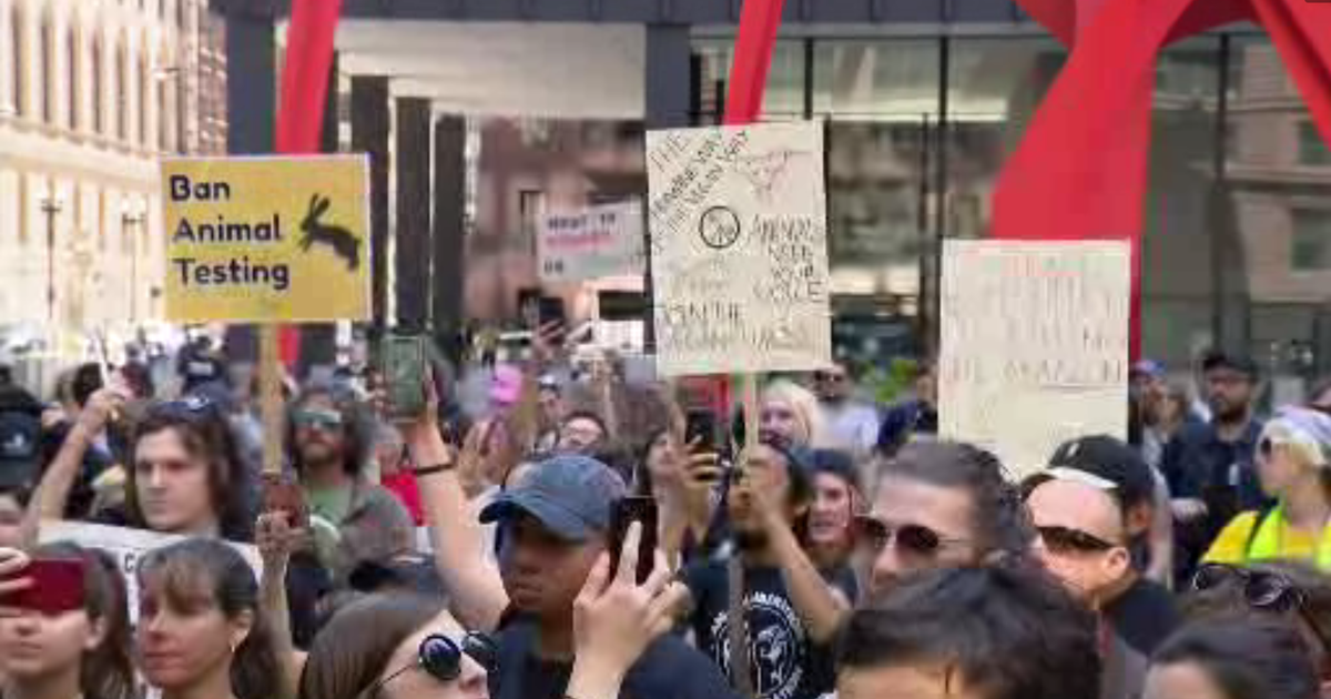 Chicago's First Official Animal Rights March Kicks Off In The Loop ...