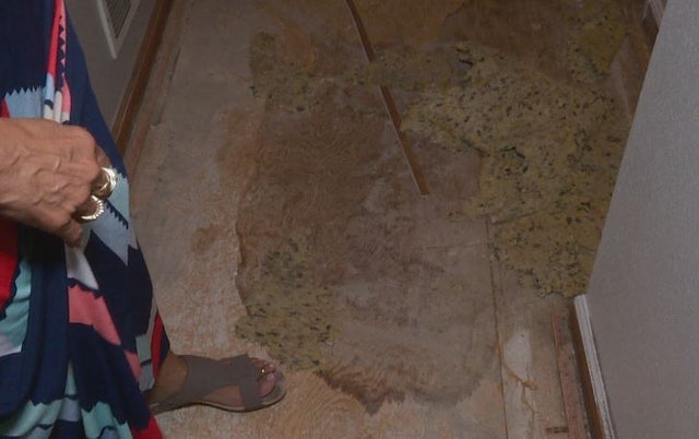 Nasty House 6 (weis) 