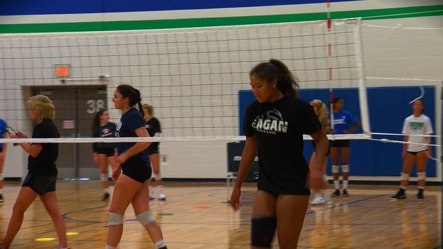 eagan-volleyball-wildcatsa.jpg 