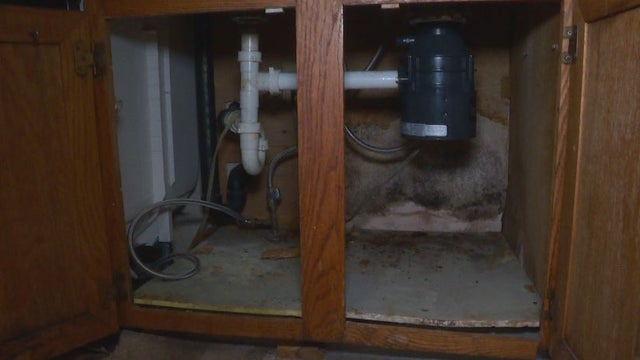 Nasty House 1 (weis) 