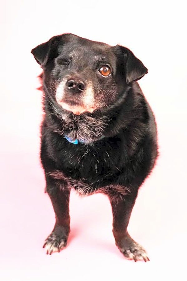 Beth (Hoodline Do Not Use) 