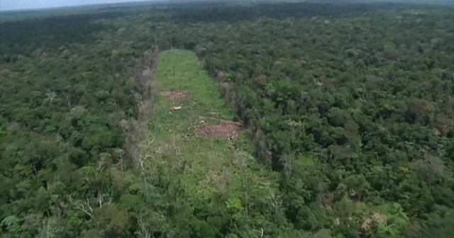 Amazon tribe warns future of the rainforest could be in jeopardy - CBS News