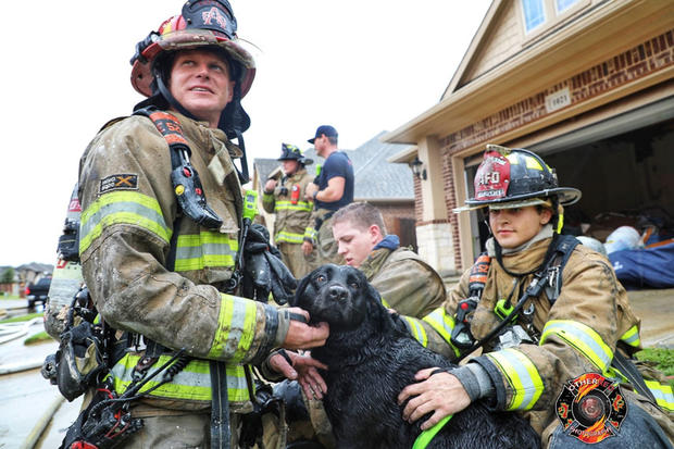 Aubrey Fire Pup Rescue 