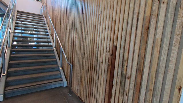 Science Complex lumber 