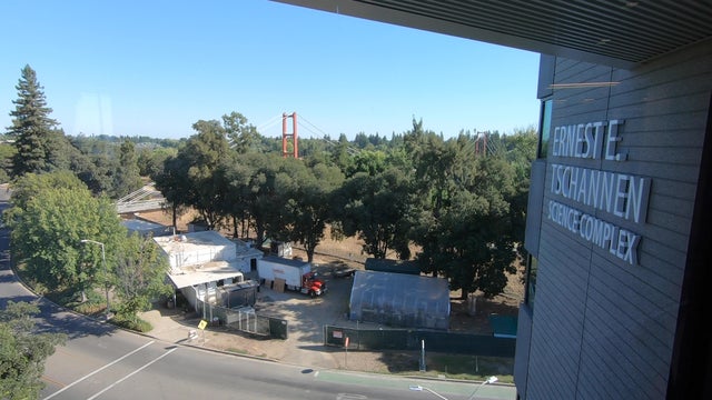 Science Complex Guy West Bridge 