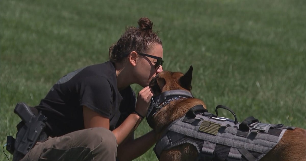 Relationship Built On Love And Law: Mercer County Police Officer, K9 ...
